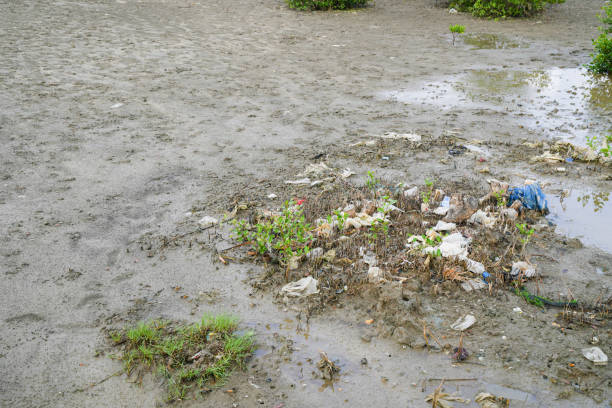 Beach pollution.Plastic bottles and other trash on sea beach. Ecological concept:Use for website banner background,backdrop