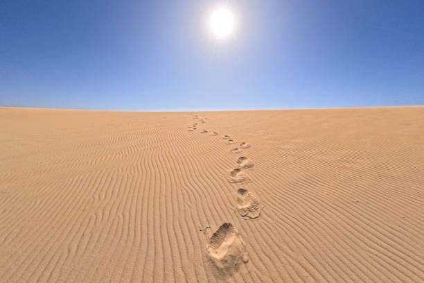 istock Footsteps in the sand 2159958744
