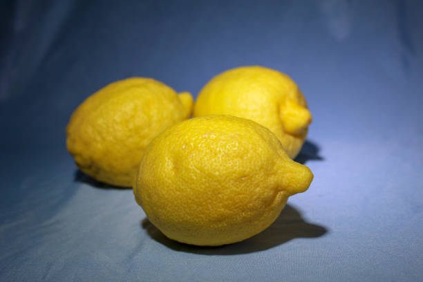 Yellow lemon fruit