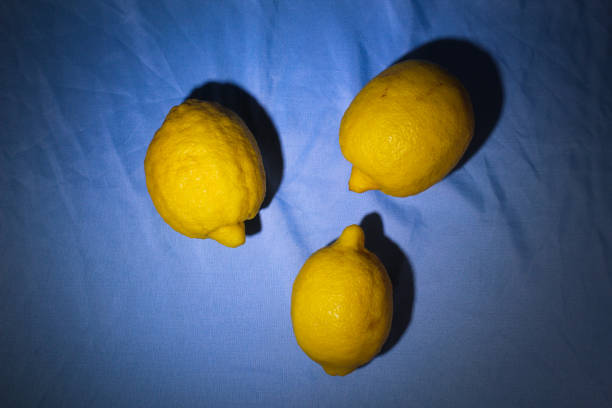 Macro lemon slice
