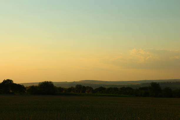 A field with trees and a hill in the background. Outdoor. Sky. Grass. Field. Sunset