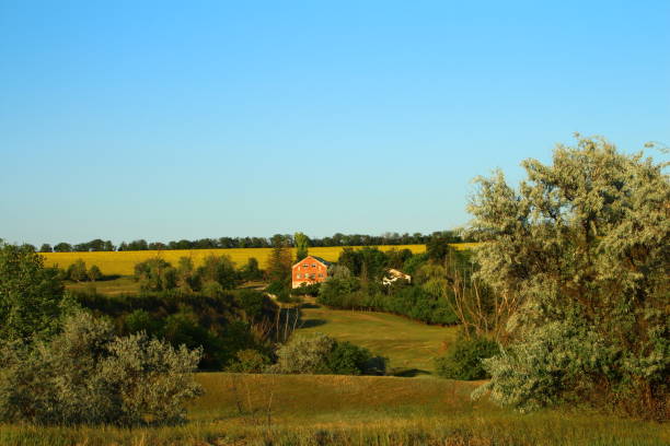 istock A house in a field 2159976334