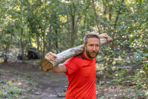 A man in a red shirt carries a heavy log on his shoulder while walking through a dense forest.