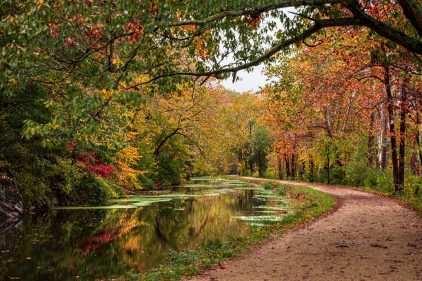 istock C&O Canal Towpath in the Fall 2159984115