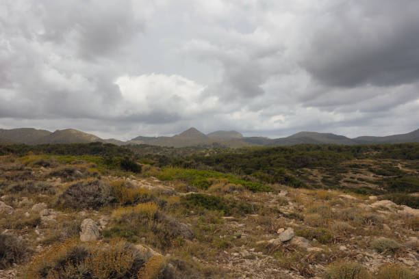 istock Landscape in a nature reserve in Mallorca. 2159984196