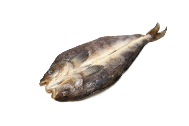 istock Cut open and dried Atka mackerel isolated on a white background. 2159985389