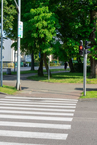 istock pedestrian crossing with traffic lights in Ustka 2159985404