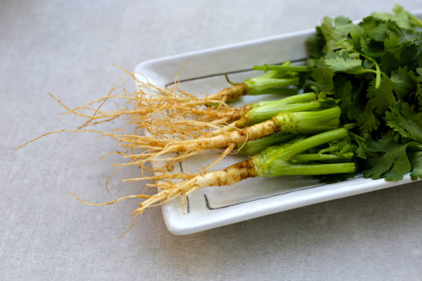 istock Fresh organic coriander, leaves with roots. Vegetables and herbs 2159987306