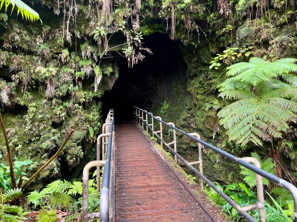 istock Big island, Hawaii 2159991456