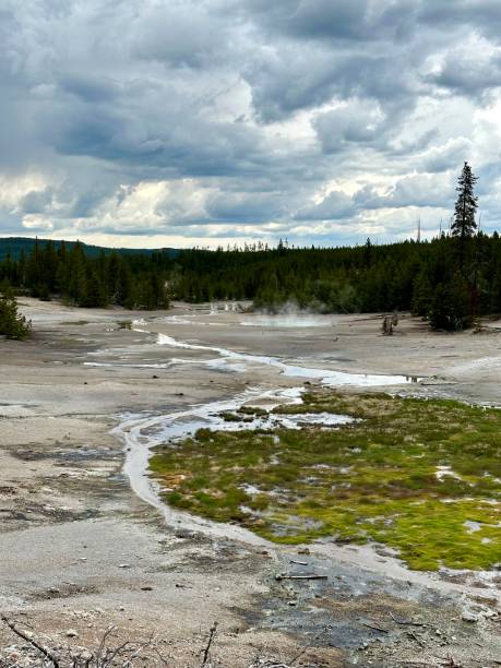 istock Norris Geyser Basin 2159994145
