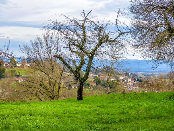 Green landscape and small town view from Perouges, France