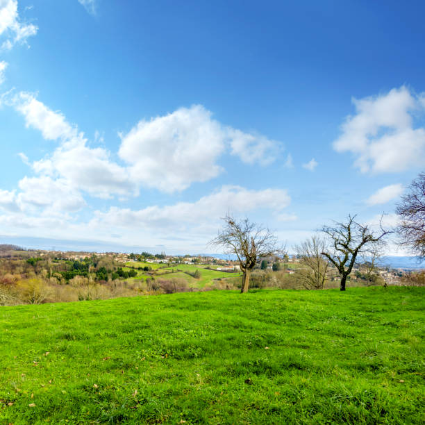 Green landscape and small town view from Perouges, France