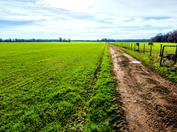 Green grass countryside landscape in France