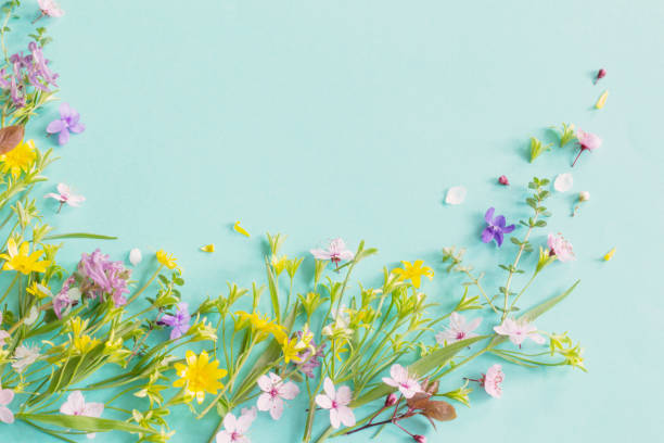istock wild spring flowers on paper background 2160003426