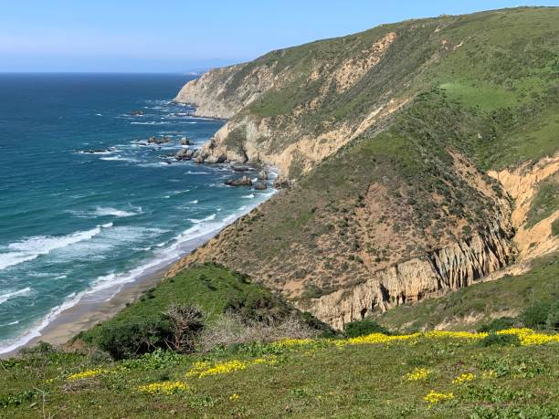 istock Point Reyes Preserve Tomales Point 2160004954