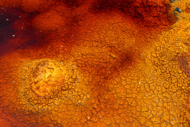 Sunlight casts a warm glow over the dry, cracked clay soil in the Rio Tinto area