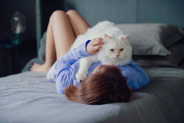 istock girl and Persian cat 2160020161