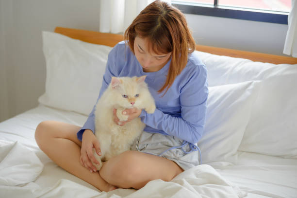 istock girl and Persian cat 2160020167