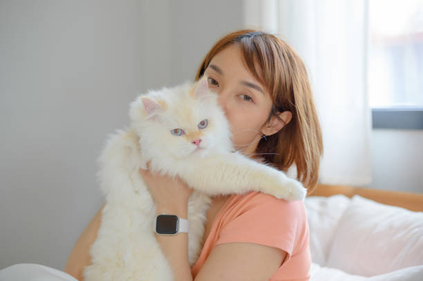 istock girl and Persian cat 2160020170