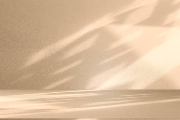 istock Wall interior background, studio and backdrops show products.with shadow leaf from window color white and beige . background for text insertion and presentation product 2160022084