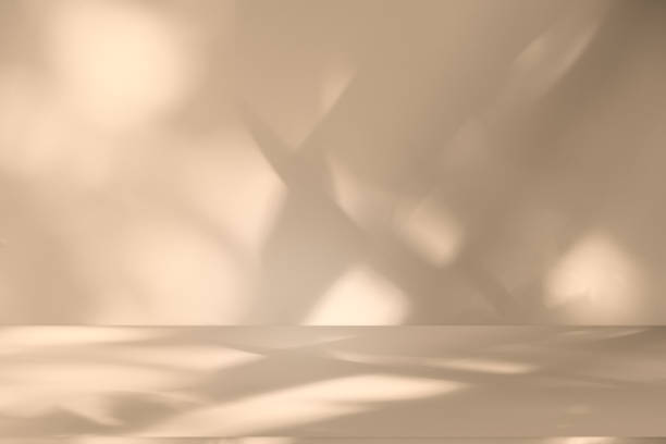 istock Wall interior background, studio and backdrops show products.with shadow leaf from window color white and beige . background for text insertion and presentation product 2160022100