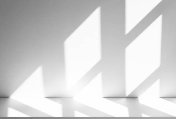 istock Wall interior background, studio and backdrops show products.with shadow from window color white . background for text insertion and presentation product 2160022106