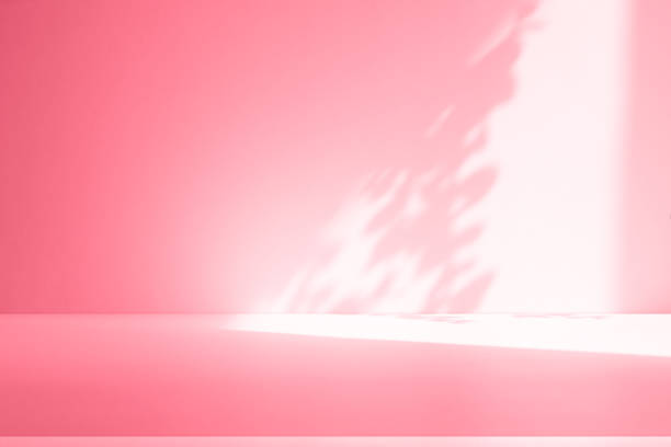 istock Wall interior background, studio, and backdrops show products. with shadow from window color white and pink light. background for text insertion and presentation of product 2160022107