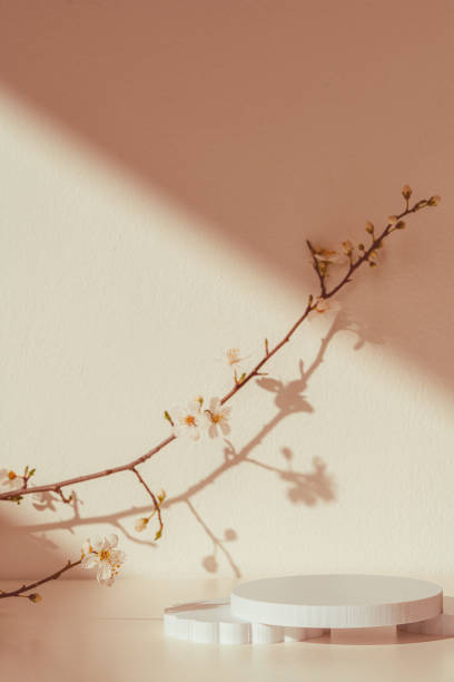 istock Blooming spring branches with flowers and its shadow on beige background 2160026697