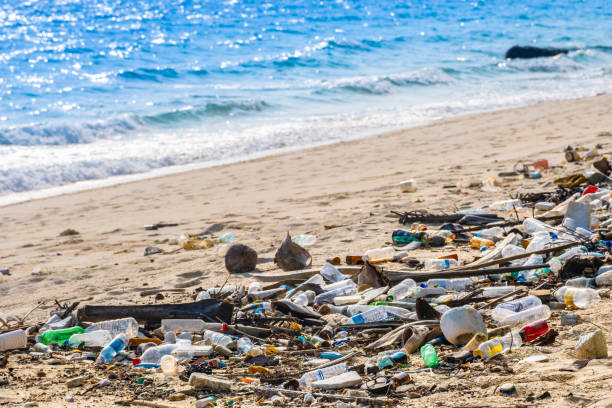 istock trash, plastic cups and plastic bags at the beach. environmental problem concept and healing the world 2160027888