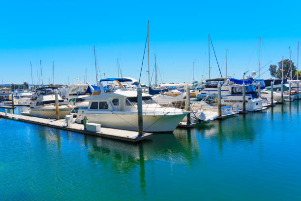 Marina, Auckland, New Zealand