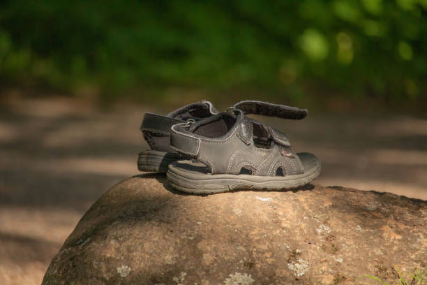 istock lost on stone in park 2160035160