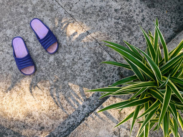 garden slippers and flower