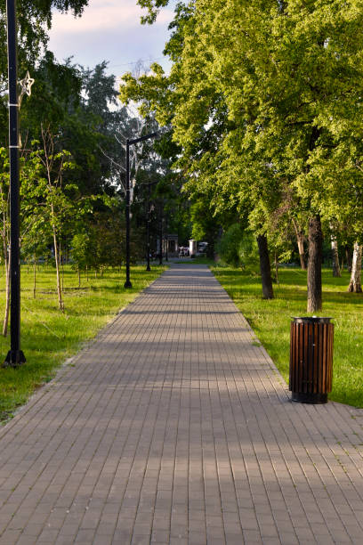 istock A stone-paved path in a summer park. Trees and grass in the recreation park. 2160035477