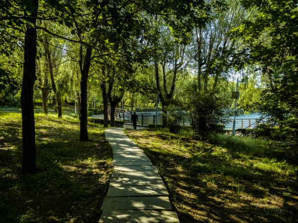 istock path in the forest, Changchun, China 2160036859