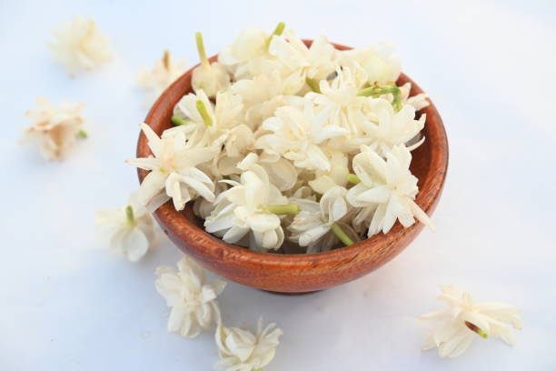istock Jasminum sambac flower. 2160040160