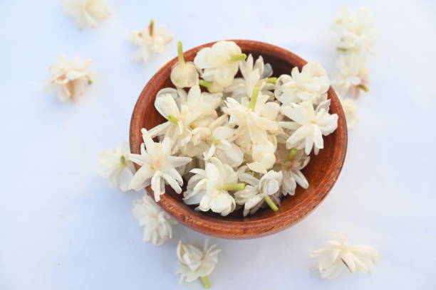 istock Jasminum sambac flower. 2160040168