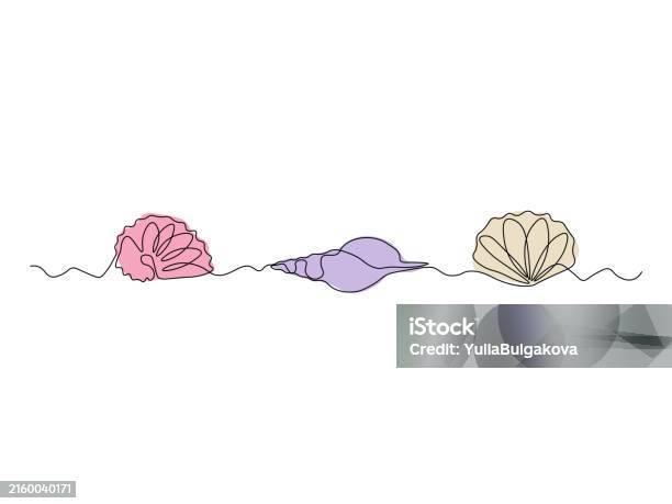 Three Shells Infographic Three Different Shells In A Row Continuous Single Line Art Drawing ...