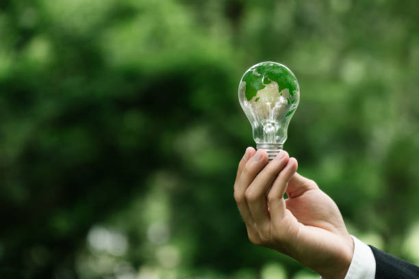istock Renewable Energy. Hand holding light bulb with Green world map on green background. Environmental protection, sustainable energy sources.green energy, clean energy. Business goals. 2160042065