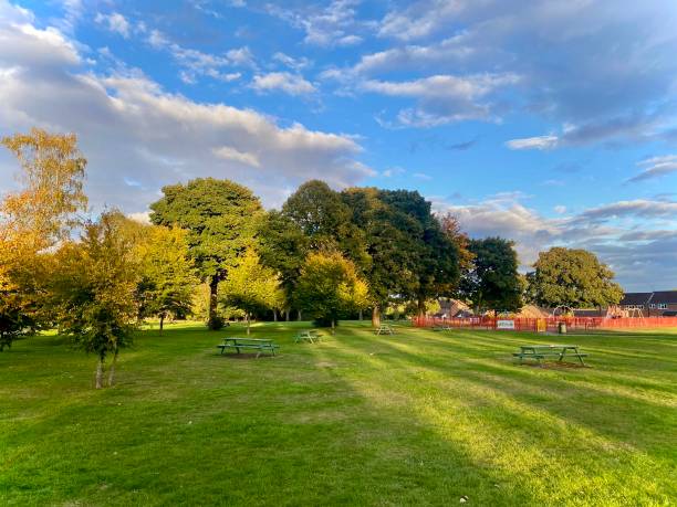 istock Sunny Park in Early Autumn 2160047136