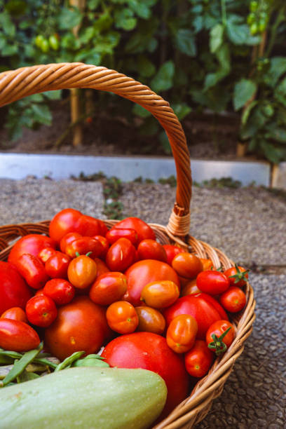 istock This Summer will bring plenty of fresh organic produce 2160047322