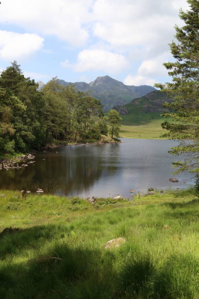 istock Blea Tarn, portrait view, English Lake District. 2160048245