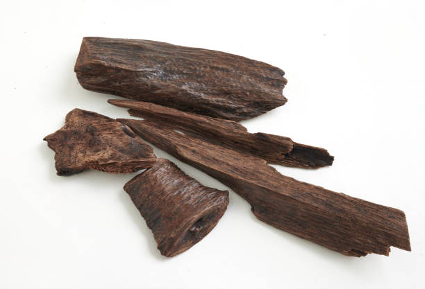istock A closeup of agarwood sticks on white background 2160048446