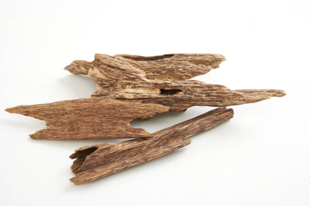 istock Agarwood, also called aloeswood incense chips isolated on white background 2160048448