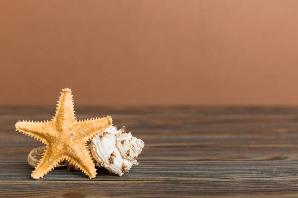 A textured stack of dried starfish arranged on a dark surface. The composition highlights their natural shapes and marine-inspired aesthetic, evoking coastal charm and organic design.