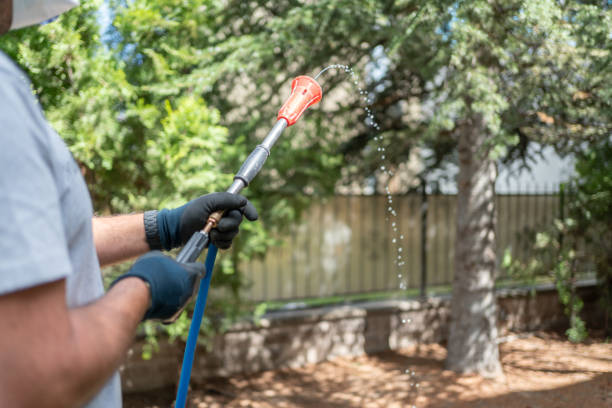 istock Gardener Spraying Insecticide 2160057221