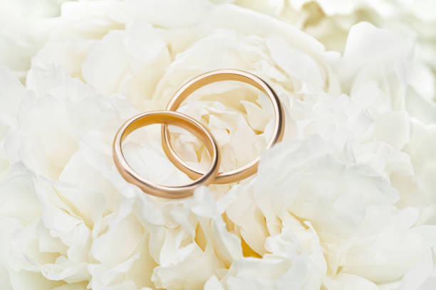 istock Wedding rings on white peony petals, desktop, background, wallpaper 2160058697