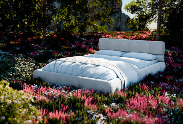 istock Bed in a grass field, good sleep, 3D illustration 2160060841