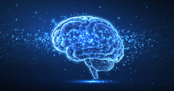 стокові ілюстрації на тему 207_brain 02 ab__ ðºð3/4ð¿ññð²ð°ñð ̧ (17) ðºð3/4ð¿ññð²ð°ñð ̧ (1) - головний мозок