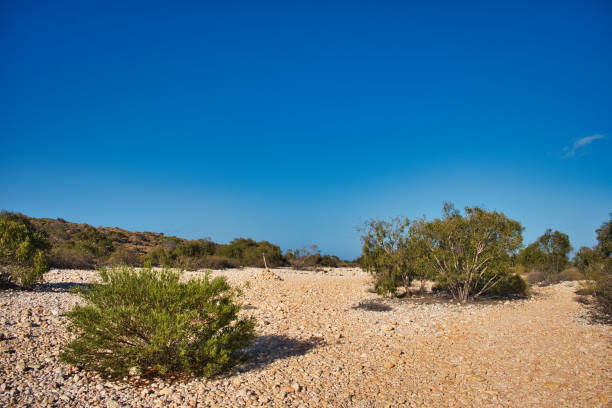 The stoney dry riverbed with scattered bushes at the mouth of the Mandu Mandu Gorge, Cape Range National Park, Western Australia