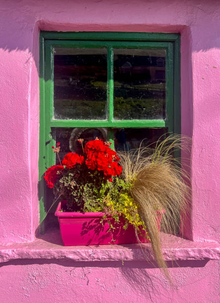 Window with flower pots, stone house, multicolored flowers, petunias. Galicia, Spain.